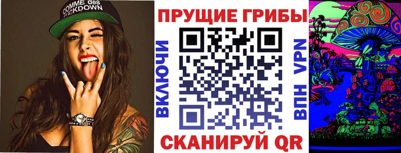 Псилоцибиновые грибы прущие грибы Бор